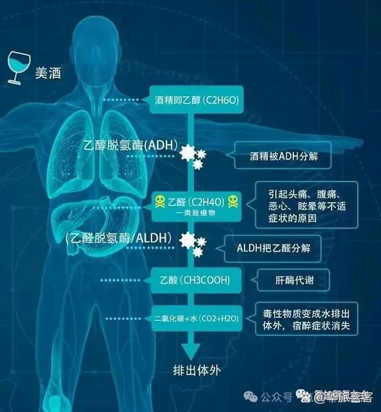 "氢水研究取得重大突破,富氢水助力健康生活"